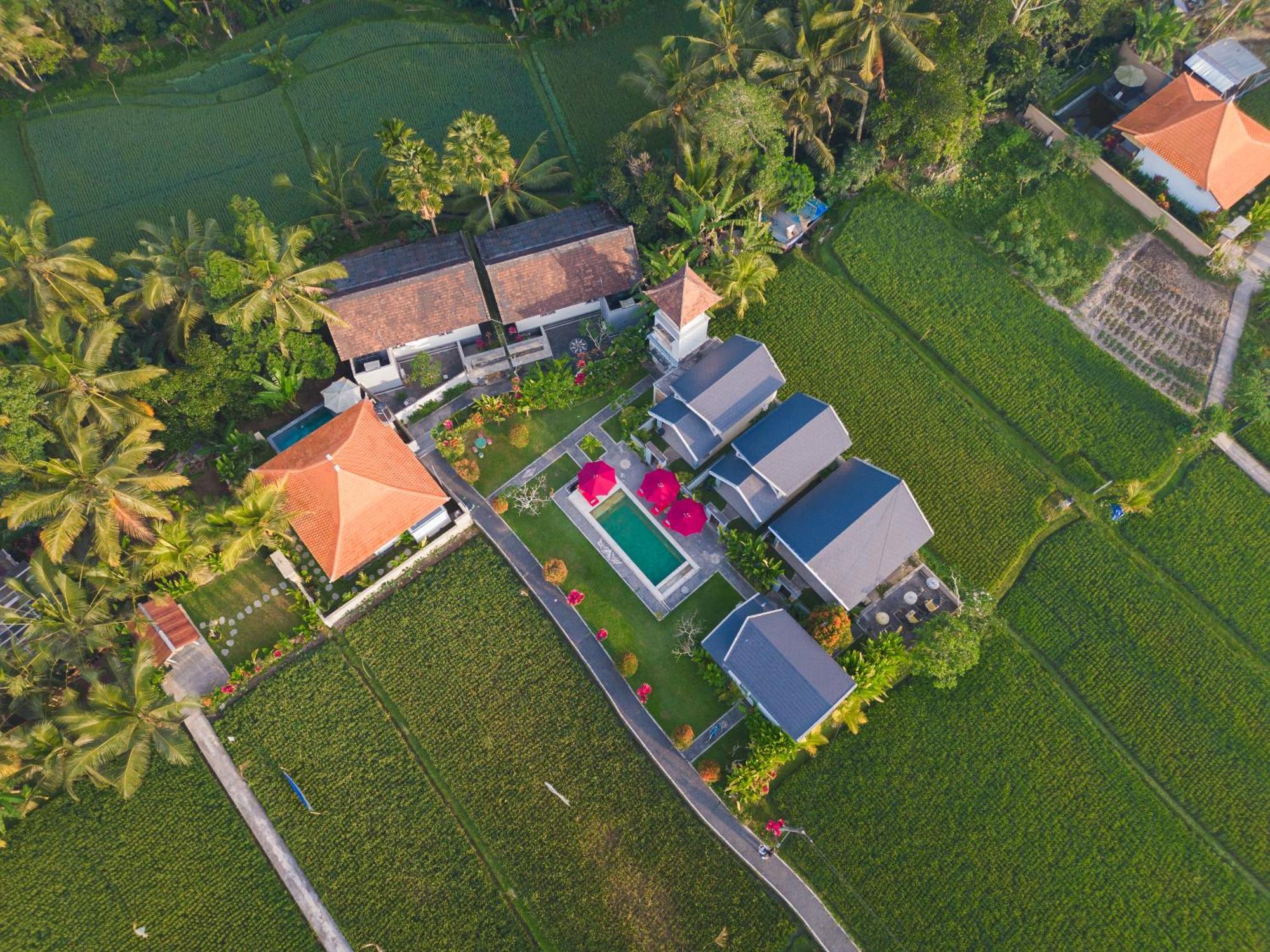 Niniku Ubud Villas Exterior photo