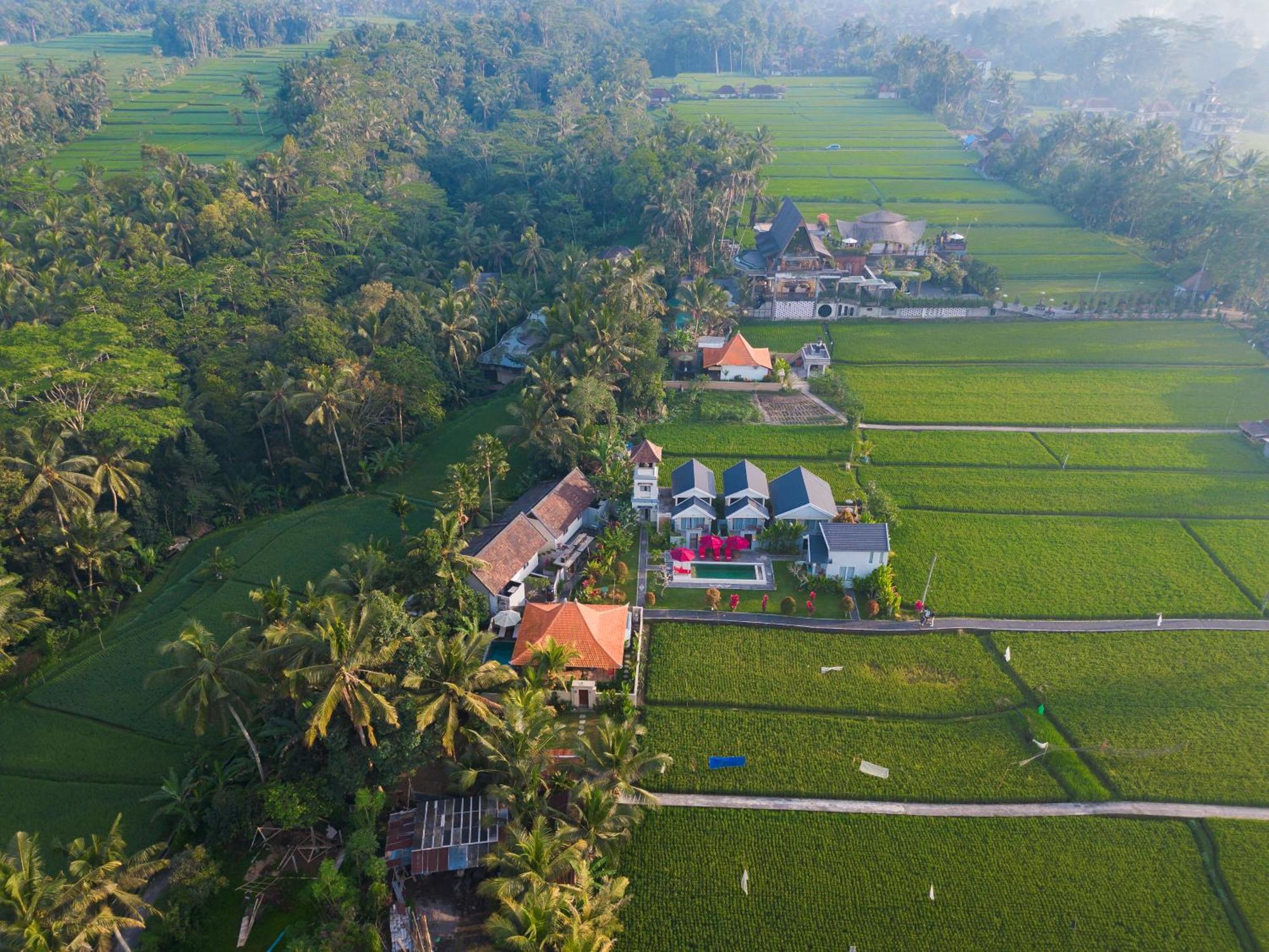 Niniku Ubud Villas Exterior photo